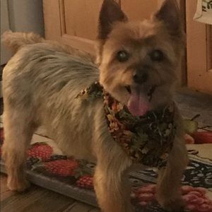 Meet your Posher, Roberta